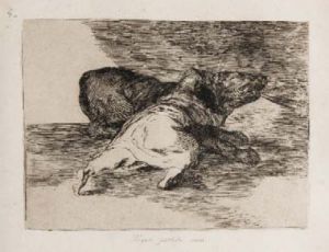 decorative image of ALGUN-PARTIDO-SACA-francisco-goya , ALGUN PARTIDO SACA 2017-10-25 10:34:22