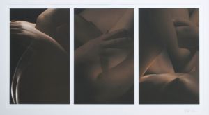 decorative image of UNTITLED-TRIPTYCH-kelly-agall , UNTITLED TRIPTYCH 2017-10-30 11:42:37
