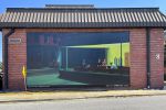 decorative image of nighthawks , Nighthawks 2023-05-24 10:15:28